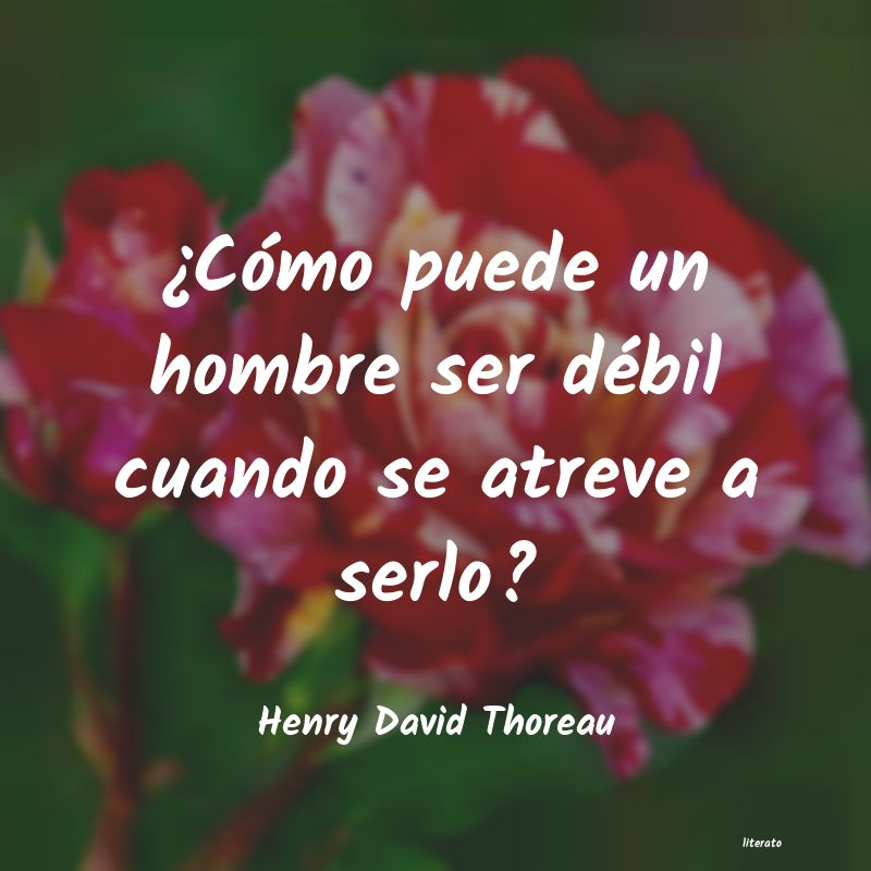 Frases de Henry David Thoreau