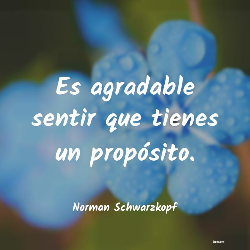 Frases de Norman Schwarzkopf