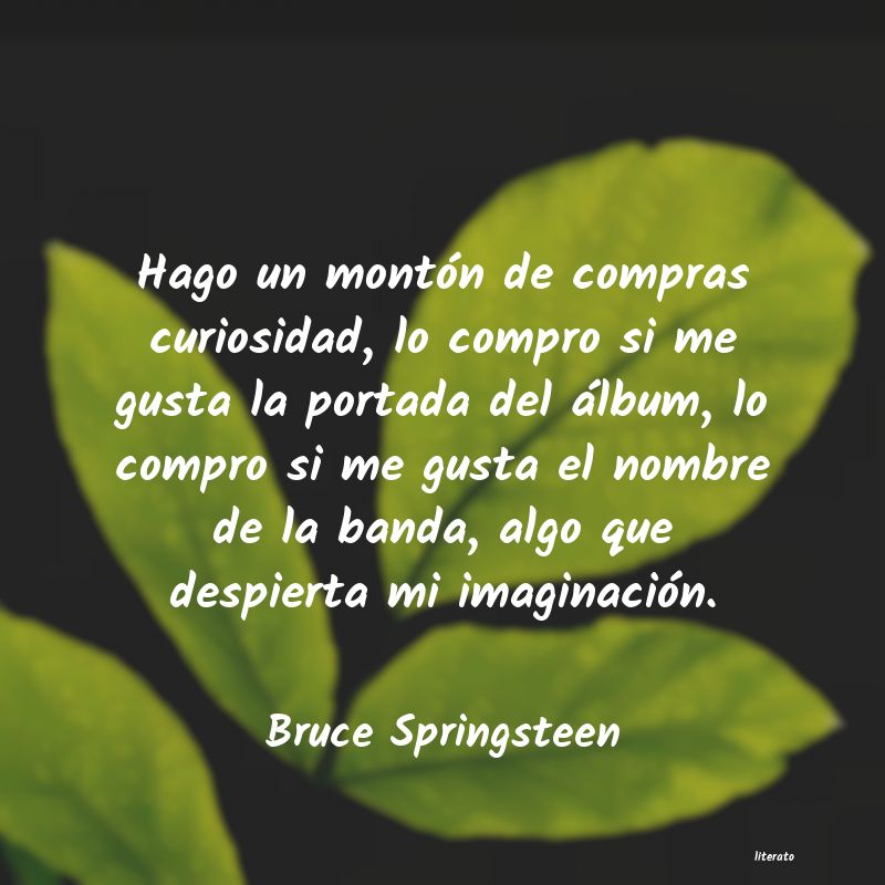 Frases de Bruce Springsteen