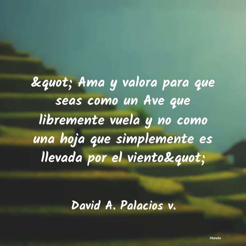 frases de David A. Palacios v.