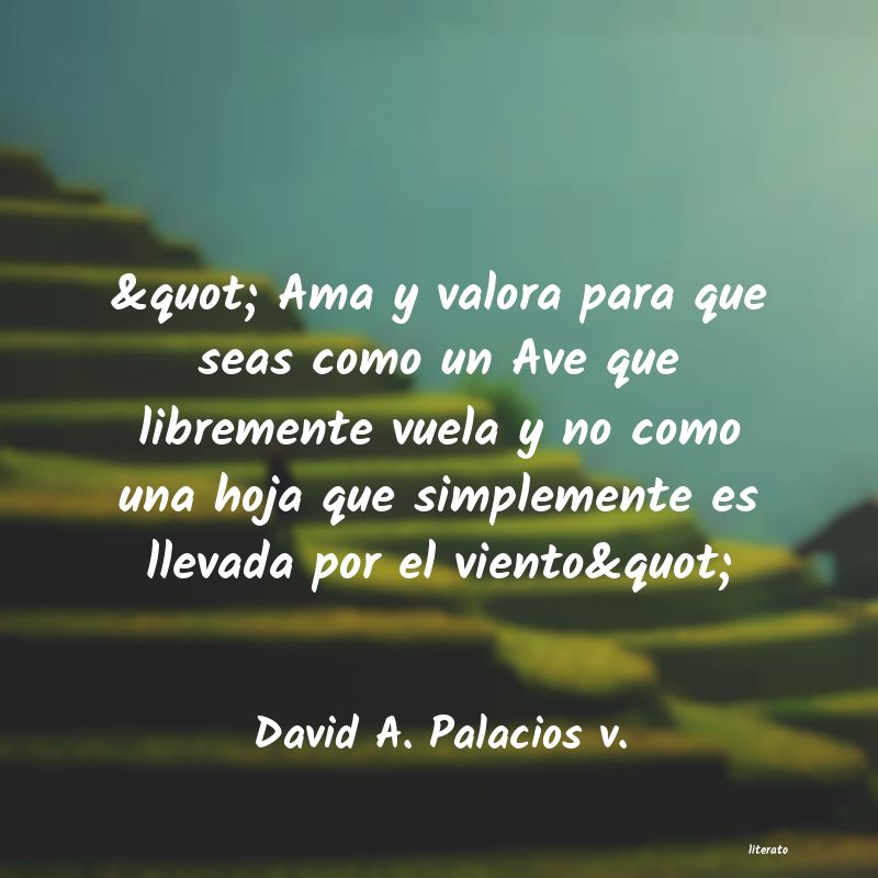 Frases de David A. Palacios v.