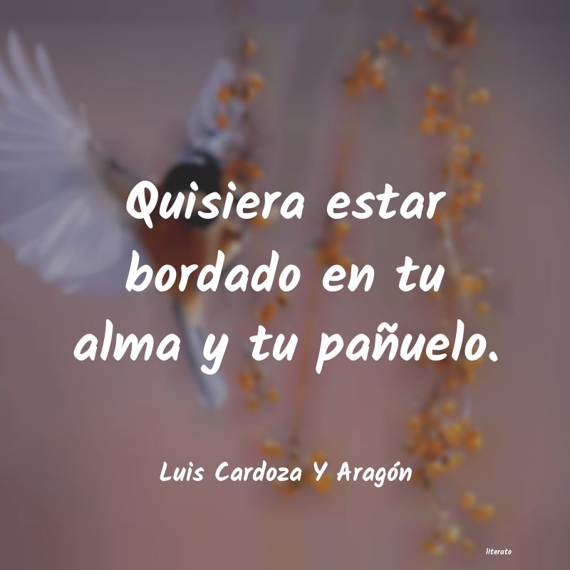 frases de Luis Cardoza Y AragÃ³n