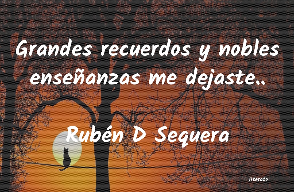 Frases de Rubén D Sequera