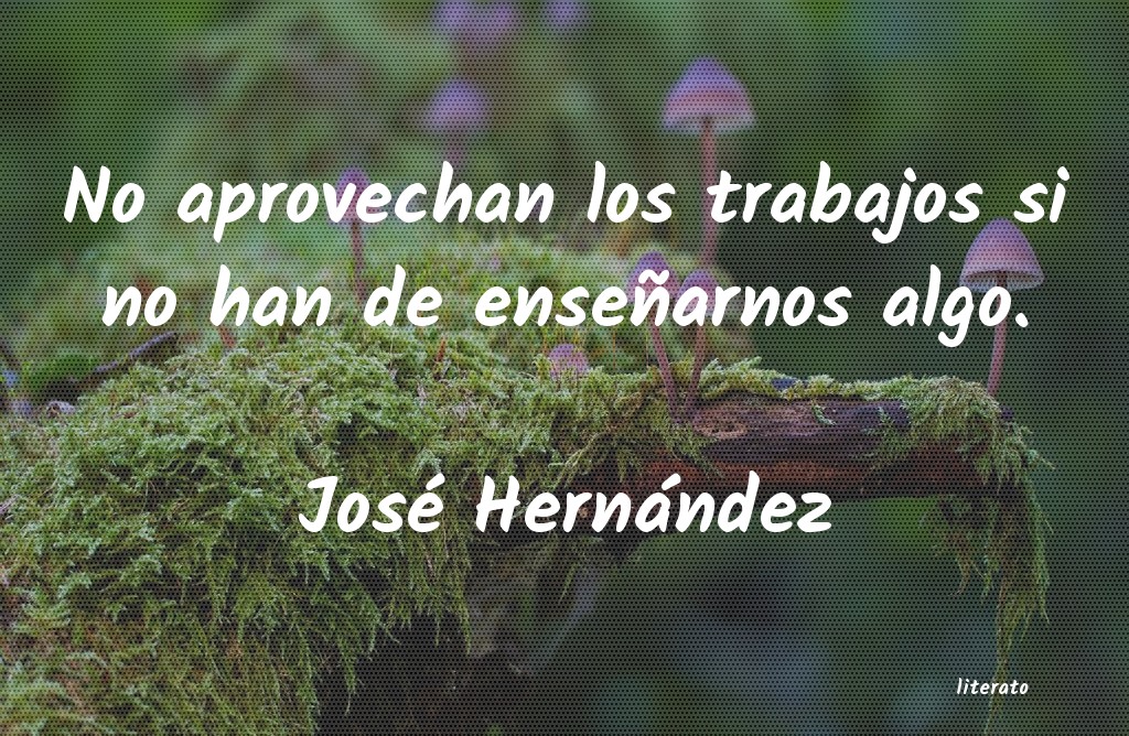 Frases de José Hernández