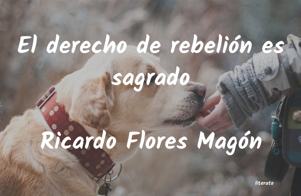 Frases de Ricardo Flores Magón