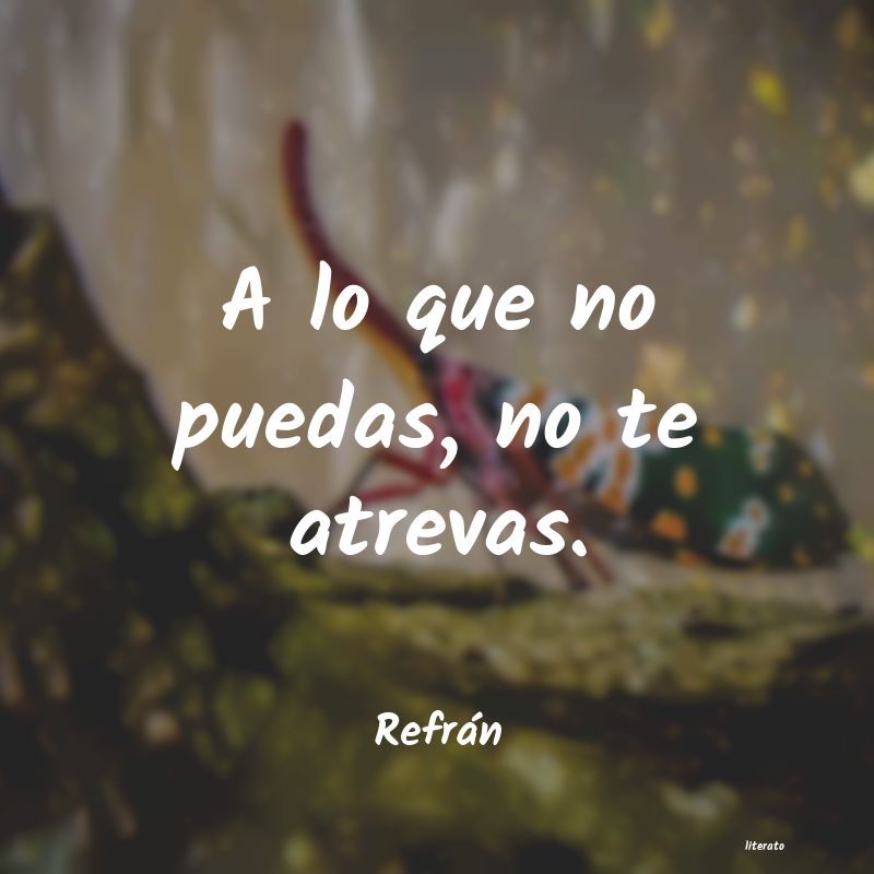 Frases de Refrán