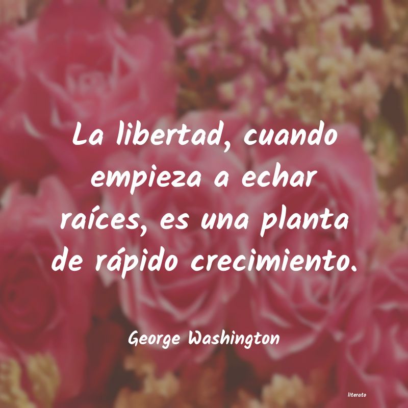 frases de George Washington