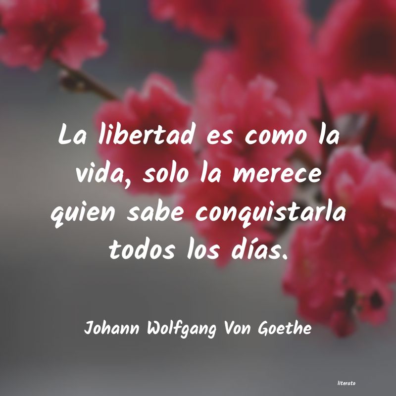 Frases de Johann Wolfgang Von Goethe