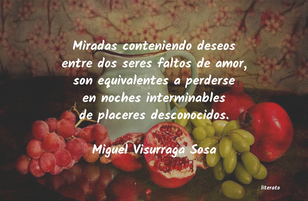 Frases de Miguel Visurraga Sosa