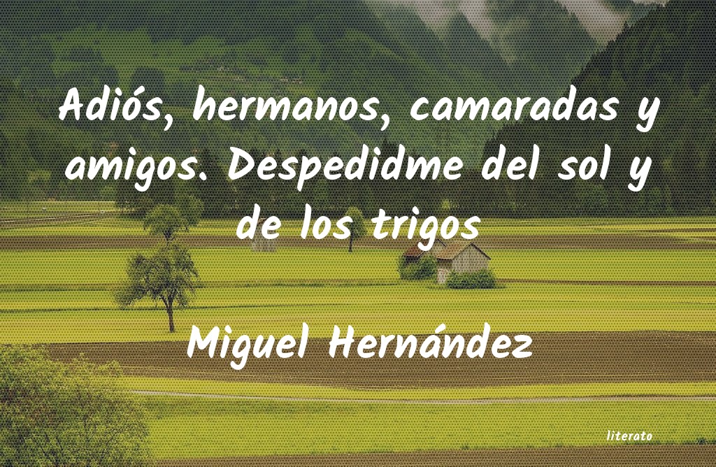 Frases de Miguel Hernández