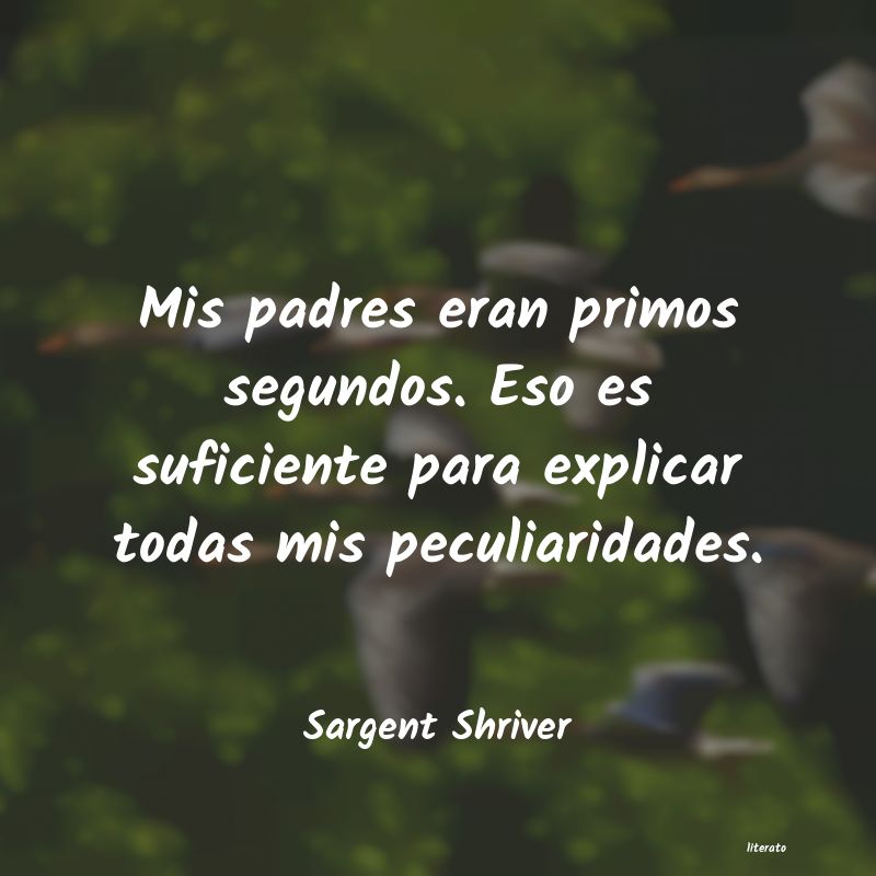 Frases de Sargent Shriver