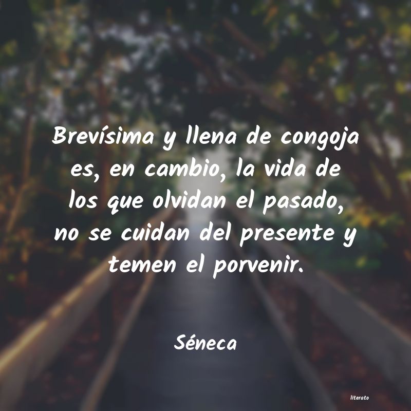 Frases de Séneca