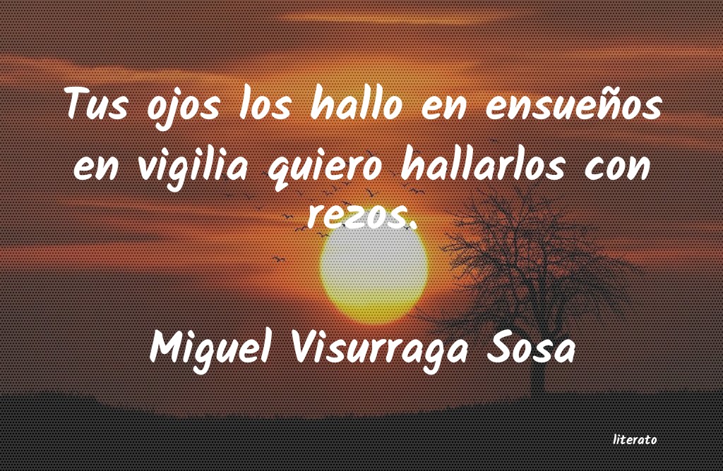 frases de Miguel Visurraga Sosa
