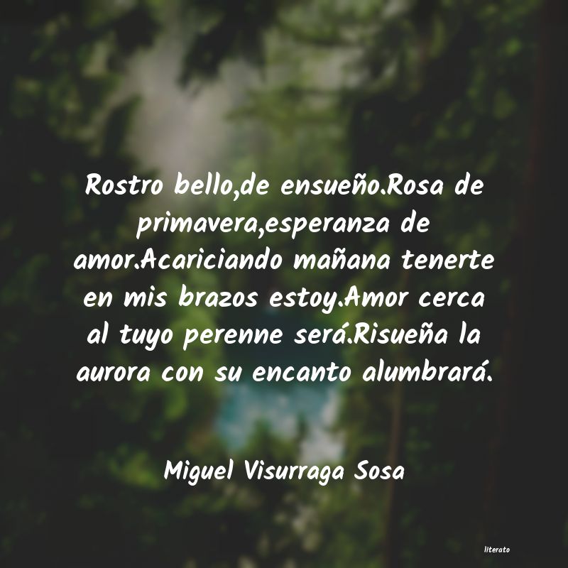 frases de Miguel Visurraga Sosa