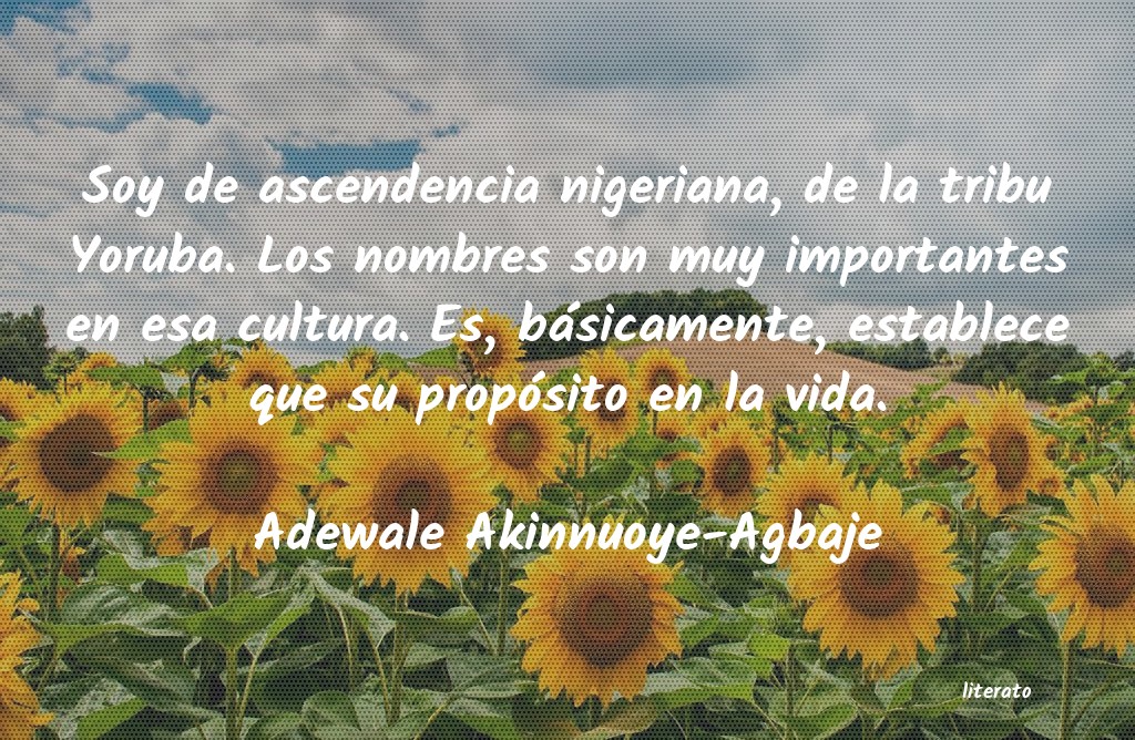 Frases de Adewale Akinnuoye-Agbaje