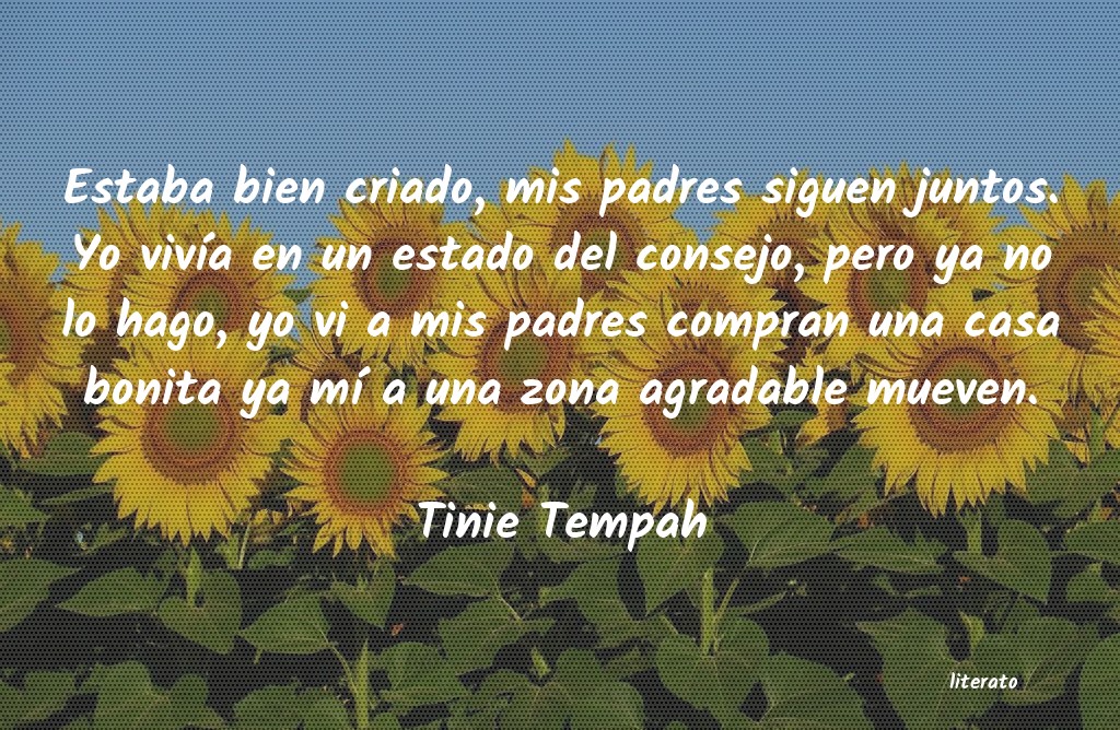 Frases de Tinie Tempah