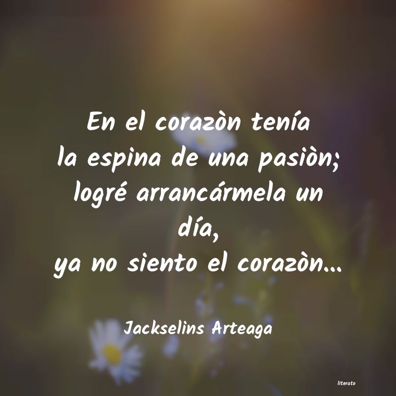 frases de Jackselins Arteaga