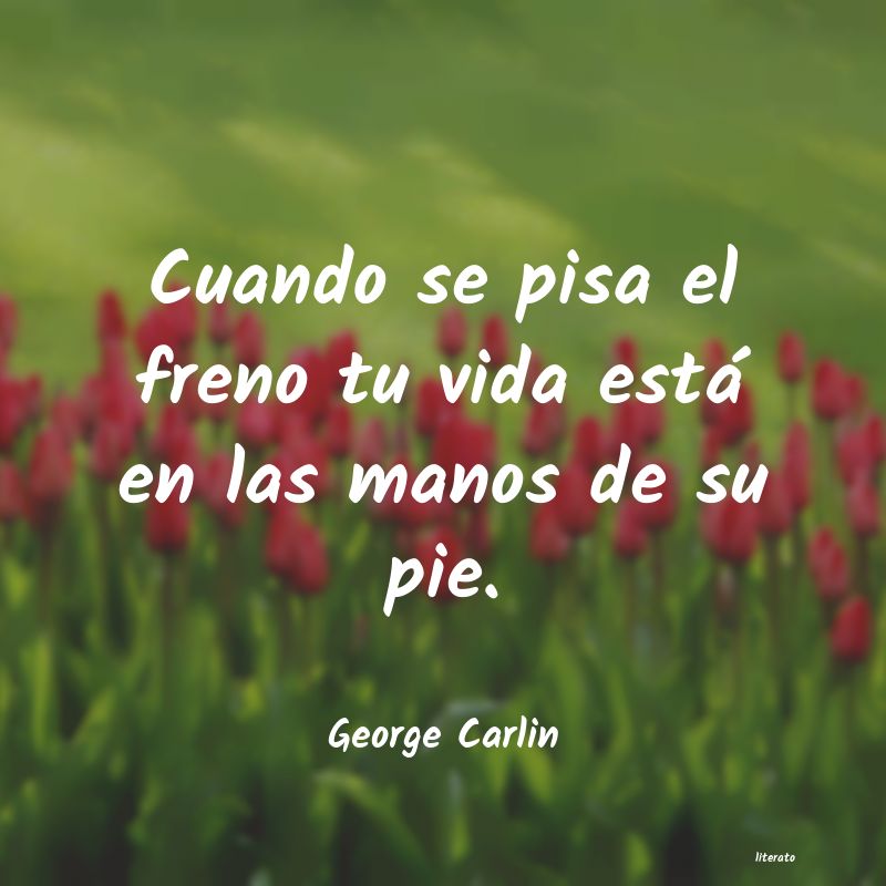 Frases de George Carlin