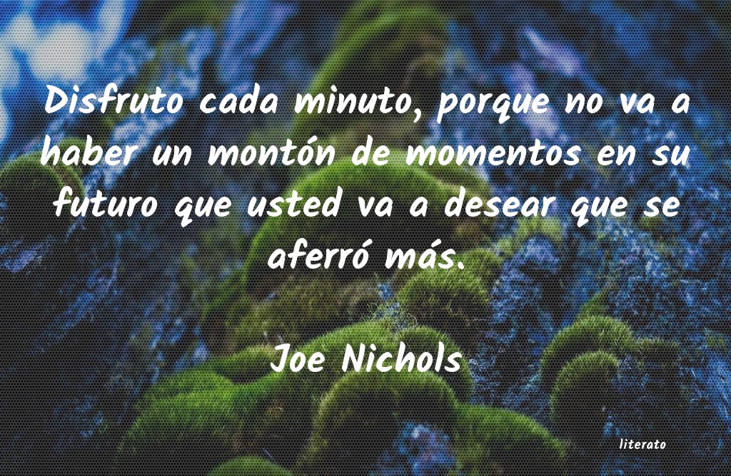 frases de Joe Nichols