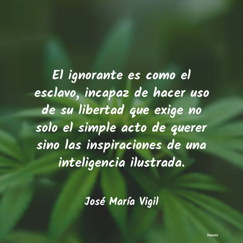 Frases de José María Vigil
