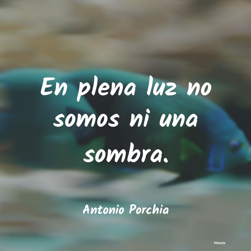 Frases de Antonio Porchia