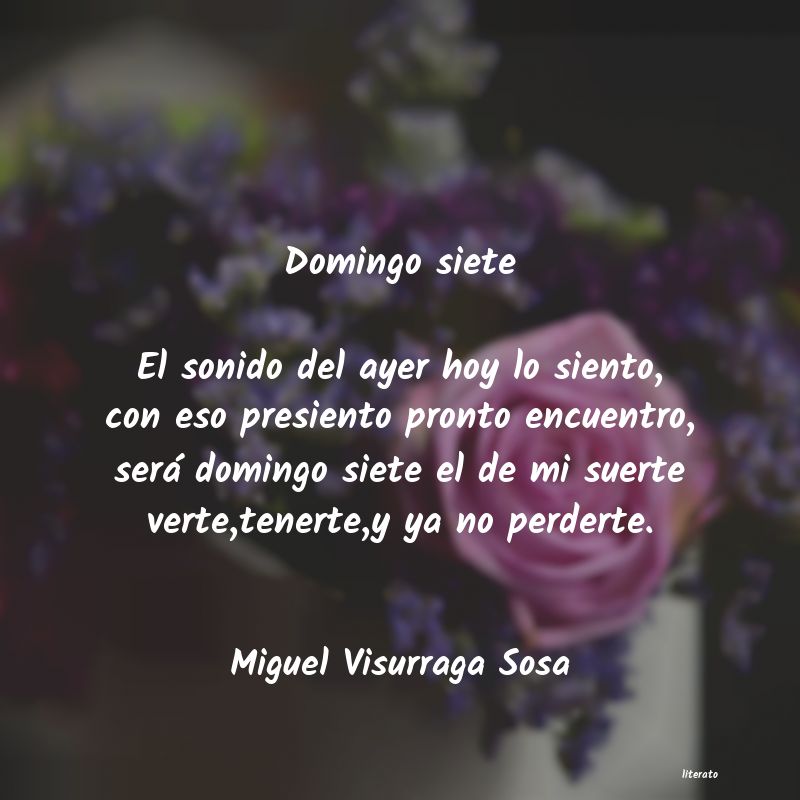 Frases de Miguel Visurraga Sosa