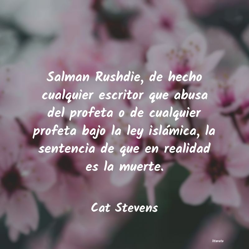 frases de Cat Stevens