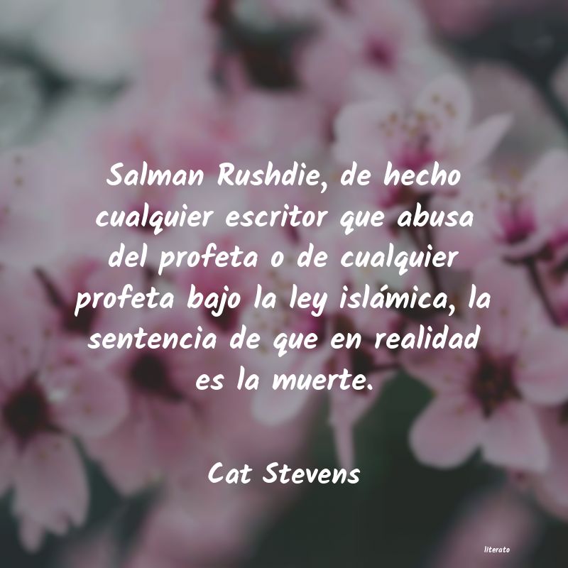 Frases de Cat Stevens