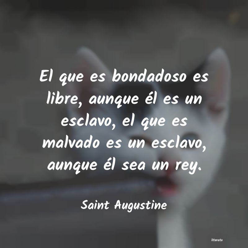 Frases de Saint Augustine