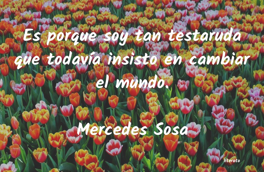 Mercedes Sosa: Es porque soy tan testaruda qu