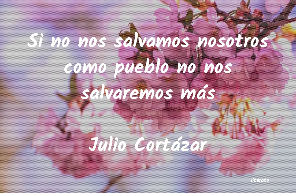 frases de Julio Cortázar