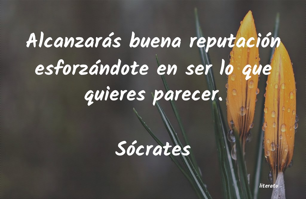 Frases de Sócrates