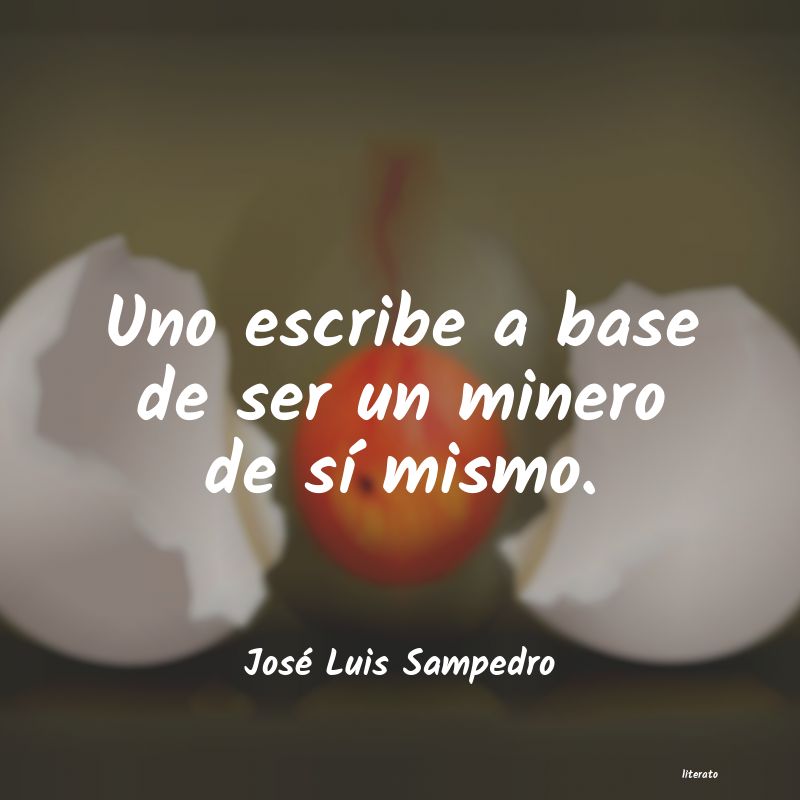 Frases de José Luis Sampedro