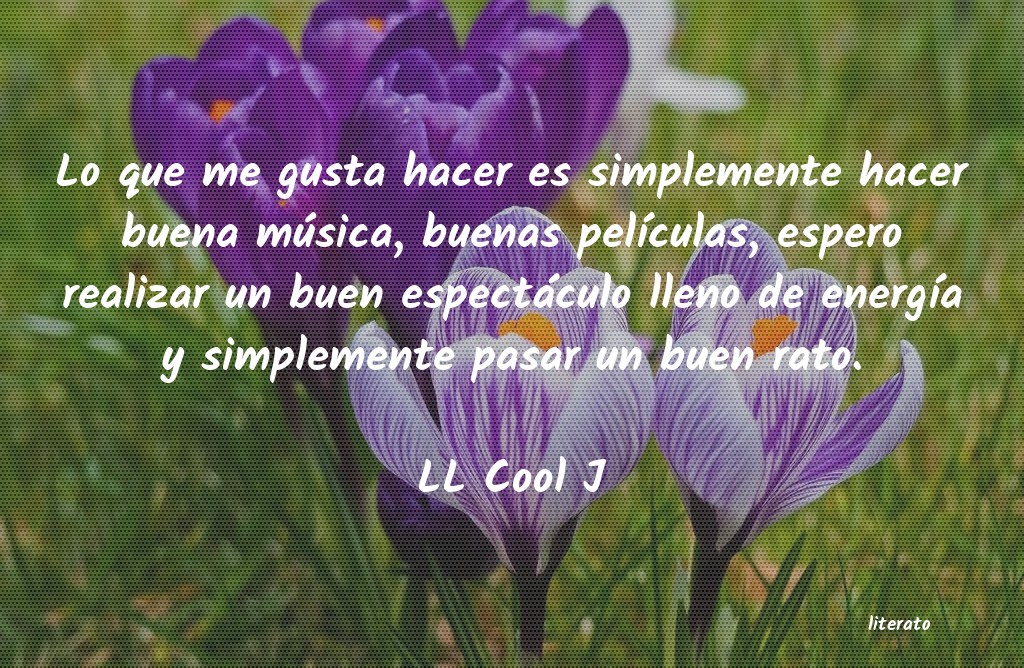 Frases de LL Cool J