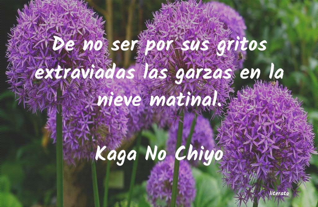 Frases de Kaga No Chiyo