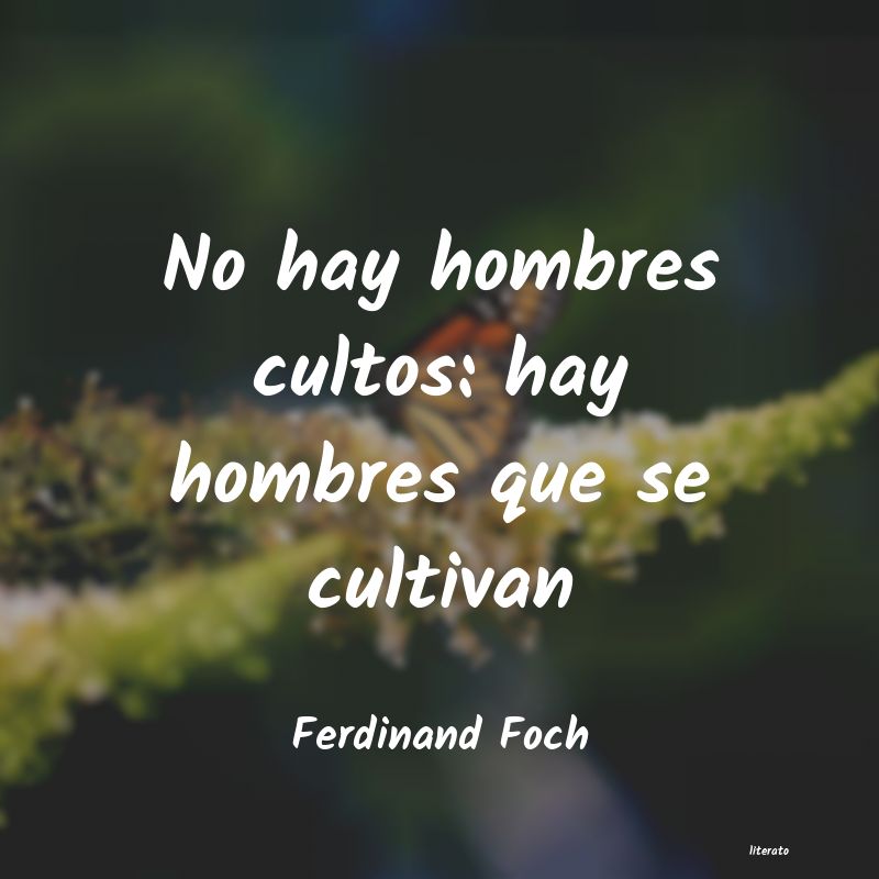 Frases de Ferdinand Foch