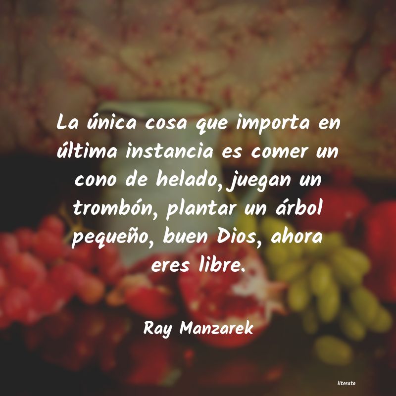 Frases de Ray Manzarek