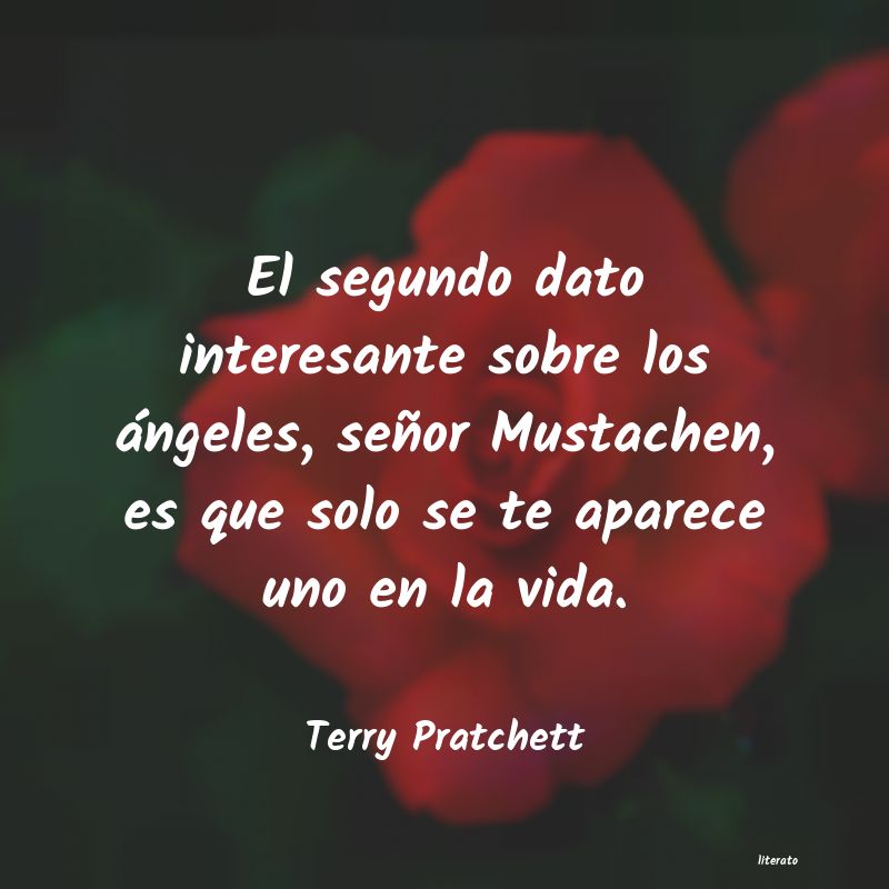 Frases de Terry Pratchett