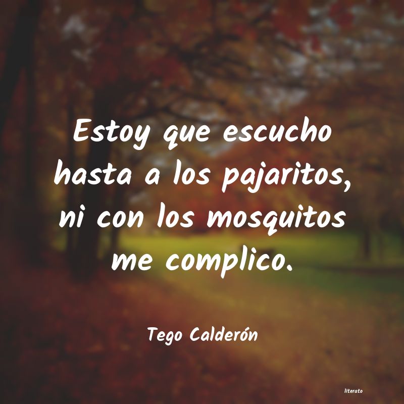 frases de Tego Calderón