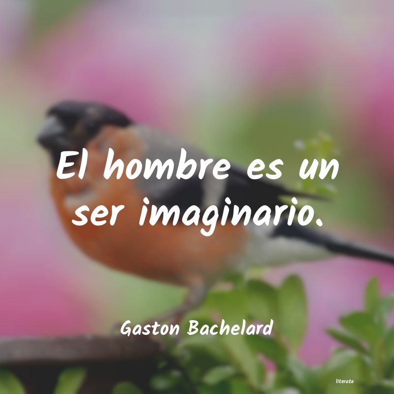 Frases de Gaston Bachelard