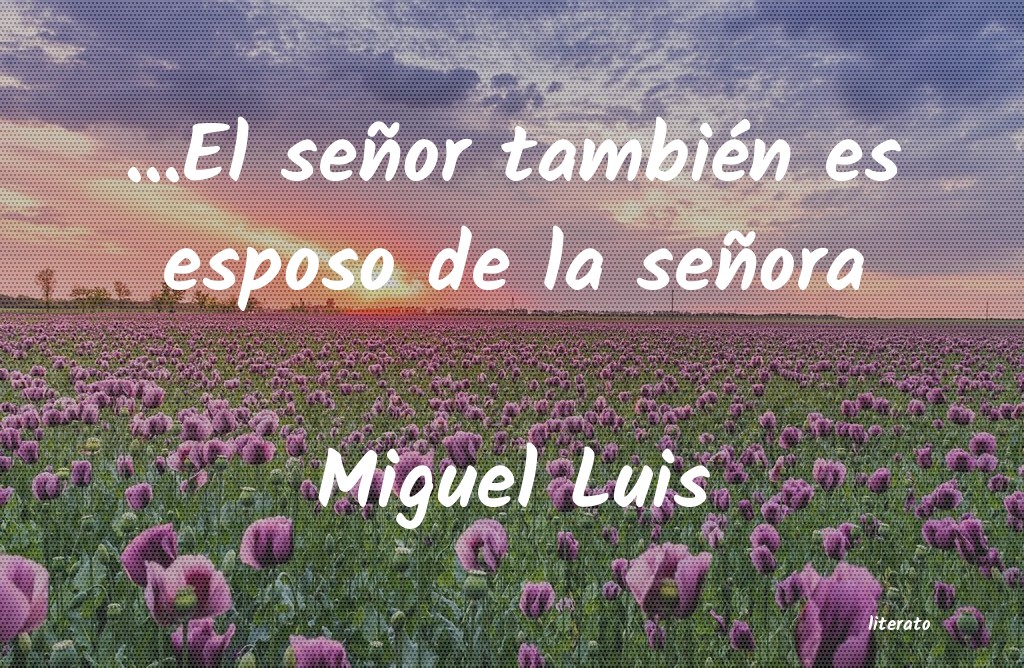 Frases de Miguel Luis