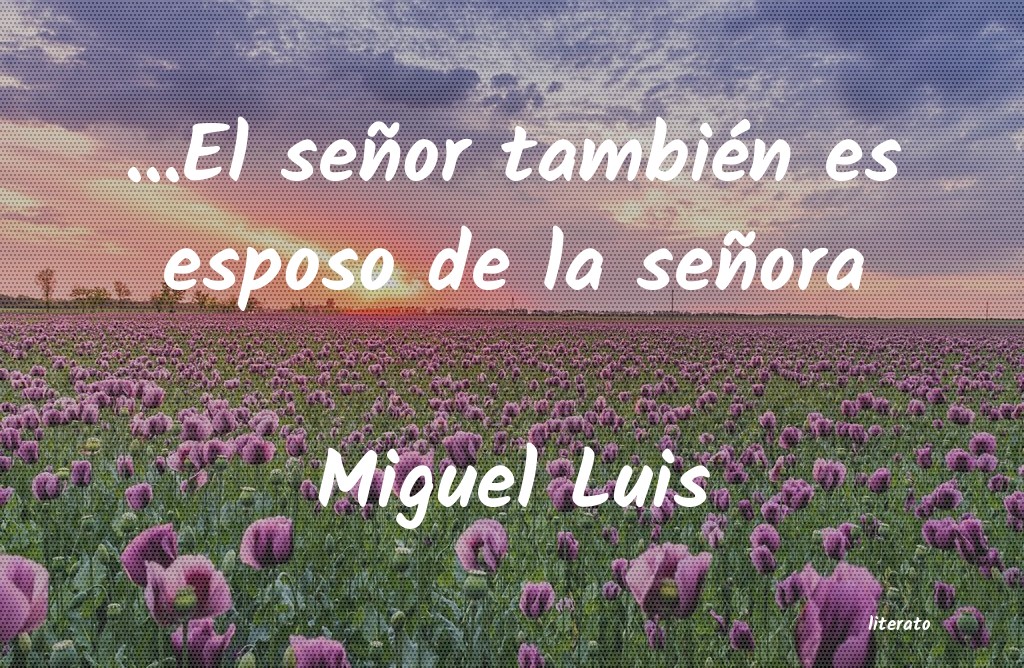 frases de Miguel Luis