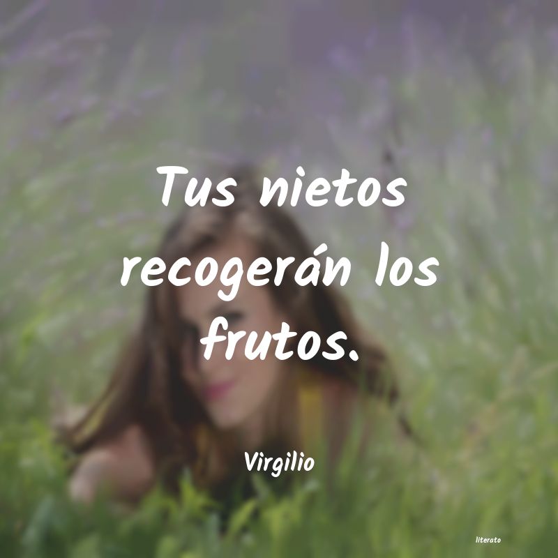 frases de Virgilio