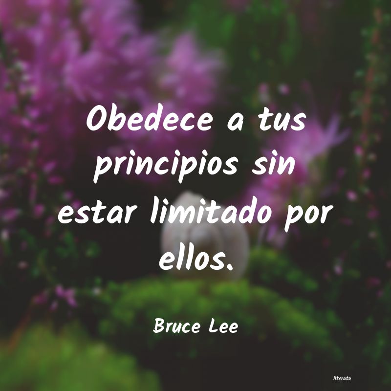 Frases de Bruce Lee