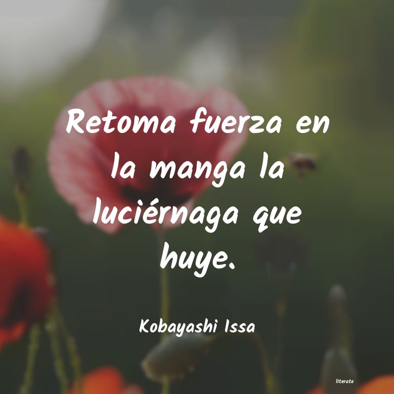 frases de Kobayashi Issa
