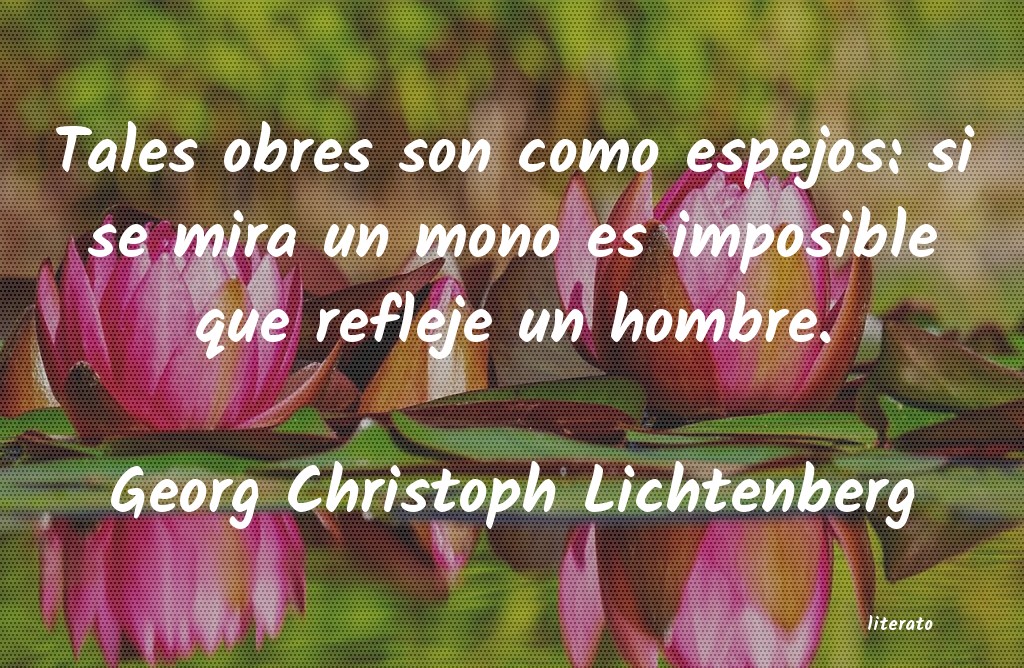 Frases de Georg Christoph Lichtenberg