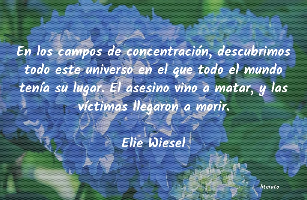 Frases de Elie Wiesel