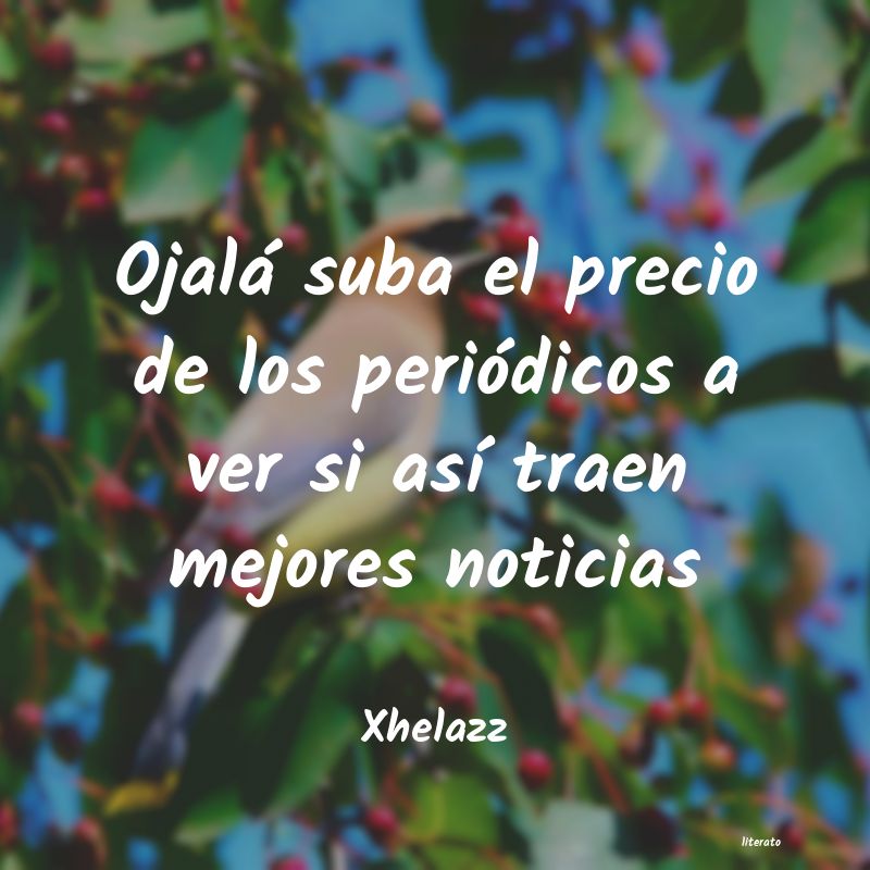 Frases de Xhelazz