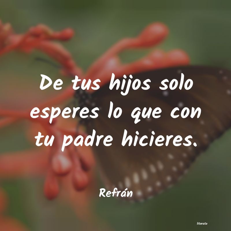 frases de Refrán