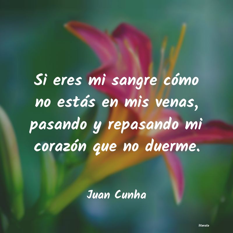 Frases de Juan Cunha